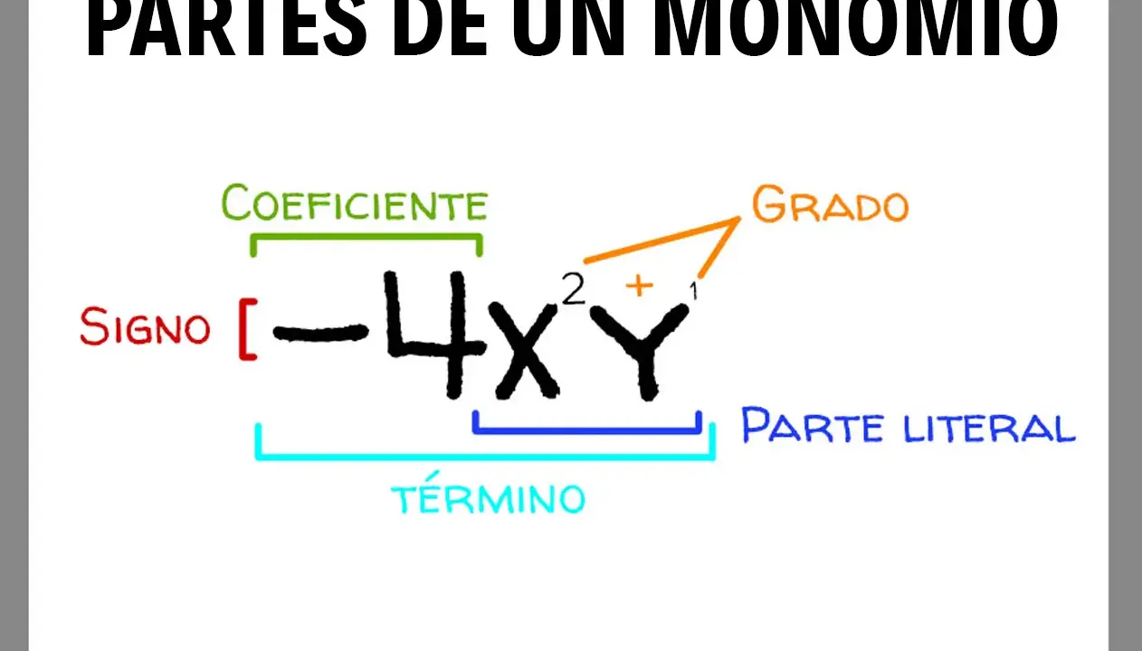 Diagrama que ilustra las partes de un monomio: signo, coeficiente, parte literal y grado.