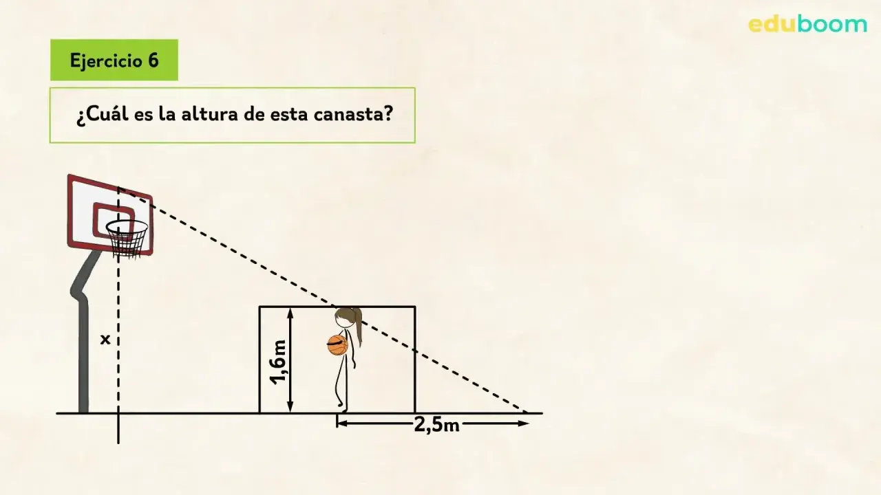 Ejercicio 6: ¿Qué es el teorema de Tales? Calcula la altura de la canasta usando proporciones, similar a cómo se aplica el teorema de Tales.