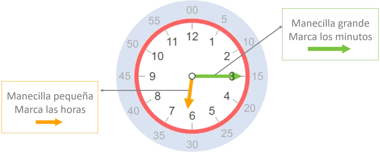 Reloj con manecillas: la pequeña marca las horas (cerca del 7) y la grande los minutos (en el 3).