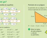 Diagrama de unidades de superficie y cálculo de perímetro. Muestra conversiones entre m², dm², cm², mm² y km², hm², dam², m². Un triángulo naranja con lados de 3, 5 y 6 cm.