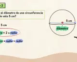 El ejercicio 2 explica que el diámetro de una circunferencia es el doble de su radio. Aquí, el radio es 5 cm.