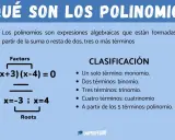 Ejemplos de que es un polinomio: factores (x+3)(x-4)=0 y raíces x=-3, x=4. Clasificación por número de términos.