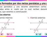 Ángulos alternos internos y externos formados por dos rectas paralelas y una secante. Se muestran ejemplos con ángulos etiquetados a, b, c, d y sus igualdades.