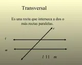 Una recta transversal 't' cruza dos rectas paralelas 'l' y 'm'.