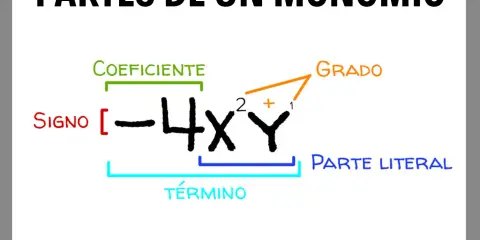 Diagrama que ilustra las partes de un monomio: signo, coeficiente, parte literal y grado.
