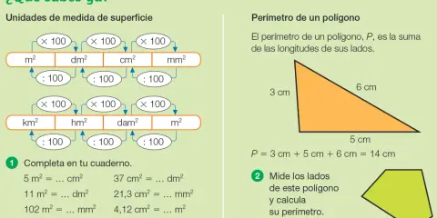 Diagrama de unidades de superficie y cálculo de perímetro. Muestra conversiones entre m², dm², cm², mm² y km², hm², dam², m². Un triángulo naranja con lados de 3, 5 y 6 cm.