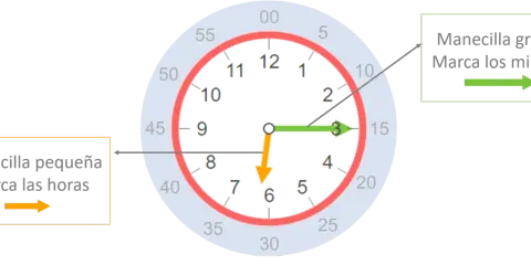 Reloj con manecillas: la pequeña marca las horas (cerca del 7) y la grande los minutos (en el 3).