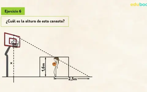 Ejercicio 6: ¿Qué es el teorema de Tales? Calcula la altura de la canasta usando proporciones, similar a cómo se aplica el teorema de Tales.