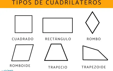 Ilustración muestra que es un cuadrilátero: cuadrado, rectángulo, rombo, romboide, trapecio y trapezoide.