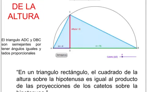 Ilustración del teorema de la altura en un triángulo rectángulo, mostrando la relación entre la altura y las proyecciones de los catetos.