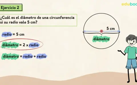 El ejercicio 2 explica que el diámetro de una circunferencia es el doble de su radio. Aquí, el radio es 5 cm.