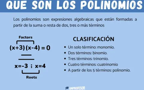 Ejemplos de que es un polinomio: factores (x+3)(x-4)=0 y raíces x=-3, x=4. Clasificación por número de términos.