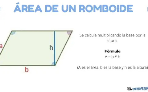 Ilustración de un romboide con base (b) y altura (h) marcadas. Se explica cómo calcular el área de un romboide.