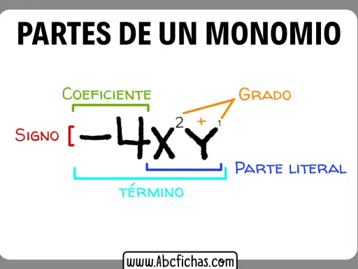 Diagrama que ilustra las partes de un monomio: signo, coeficiente, parte literal y grado.