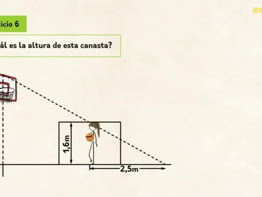 Ejercicio 6: ¿Qué es el teorema de Tales? Calcula la altura de la canasta usando proporciones, similar a cómo se aplica el teorema de Tales.