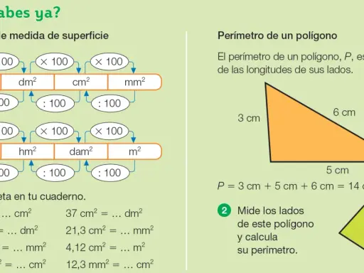 Diagrama de unidades de superficie y cálculo de perímetro. Muestra conversiones entre m², dm², cm², mm² y km², hm², dam², m². Un triángulo naranja con lados de 3, 5 y 6 cm.