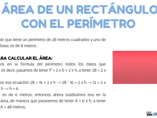 Calculando el área de un rectángulo con perímetro 28m y base 8m. Se muestra el proceso paso a paso para hallar la altura y luego el área.