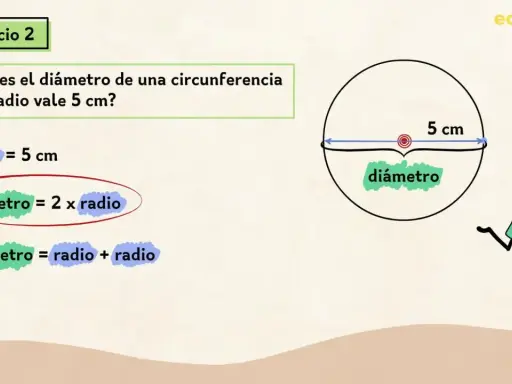 El ejercicio 2 explica que el diámetro de una circunferencia es el doble de su radio. Aquí, el radio es 5 cm.