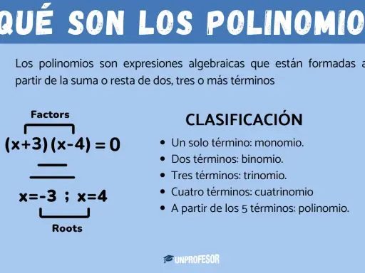Ejemplos de que es un polinomio: factores (x+3)(x-4)=0 y raíces x=-3, x=4. Clasificación por número de términos.