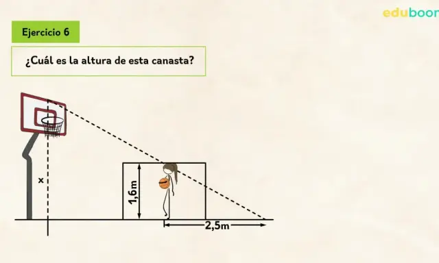 Ejercicio 6: ¿Qué es el teorema de Tales? Calcula la altura de la canasta usando proporciones, similar a cómo se aplica el teorema de Tales.