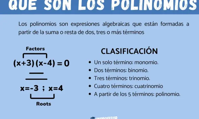 Ejemplos de que es un polinomio: factores (x+3)(x-4)=0 y raíces x=-3, x=4. Clasificación por número de términos.
