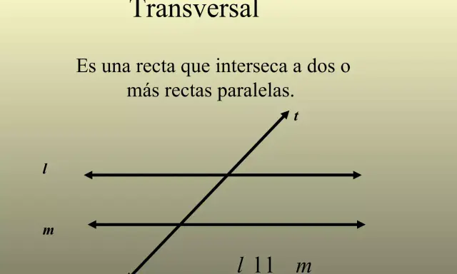Una recta transversal 't' cruza dos rectas paralelas 'l' y 'm'.