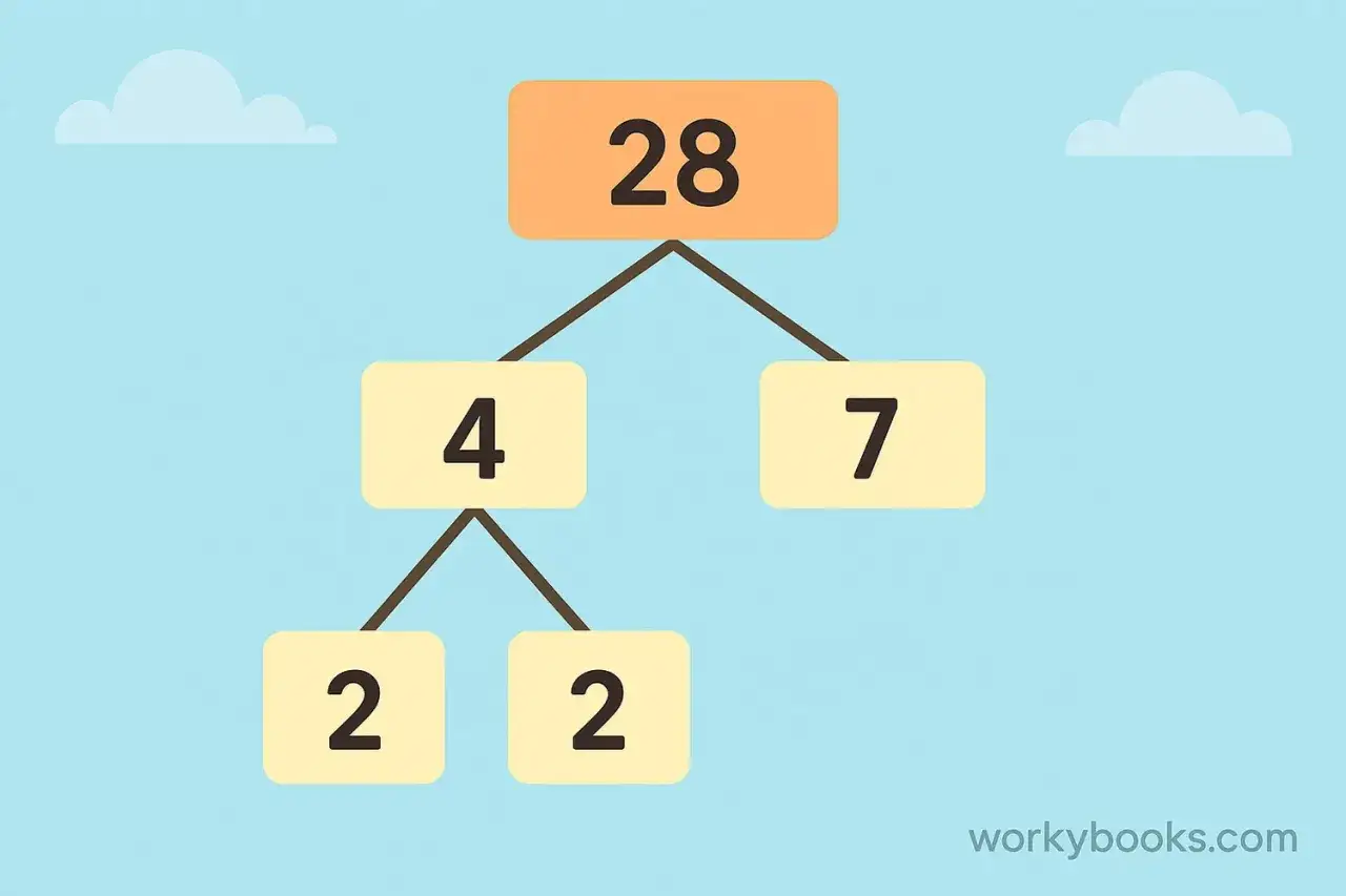 Diagrama muestra c&oacute;mo encontrar los divisores de 28: 28 se descompone en 4 y 7, y 4 en 2 y 2.