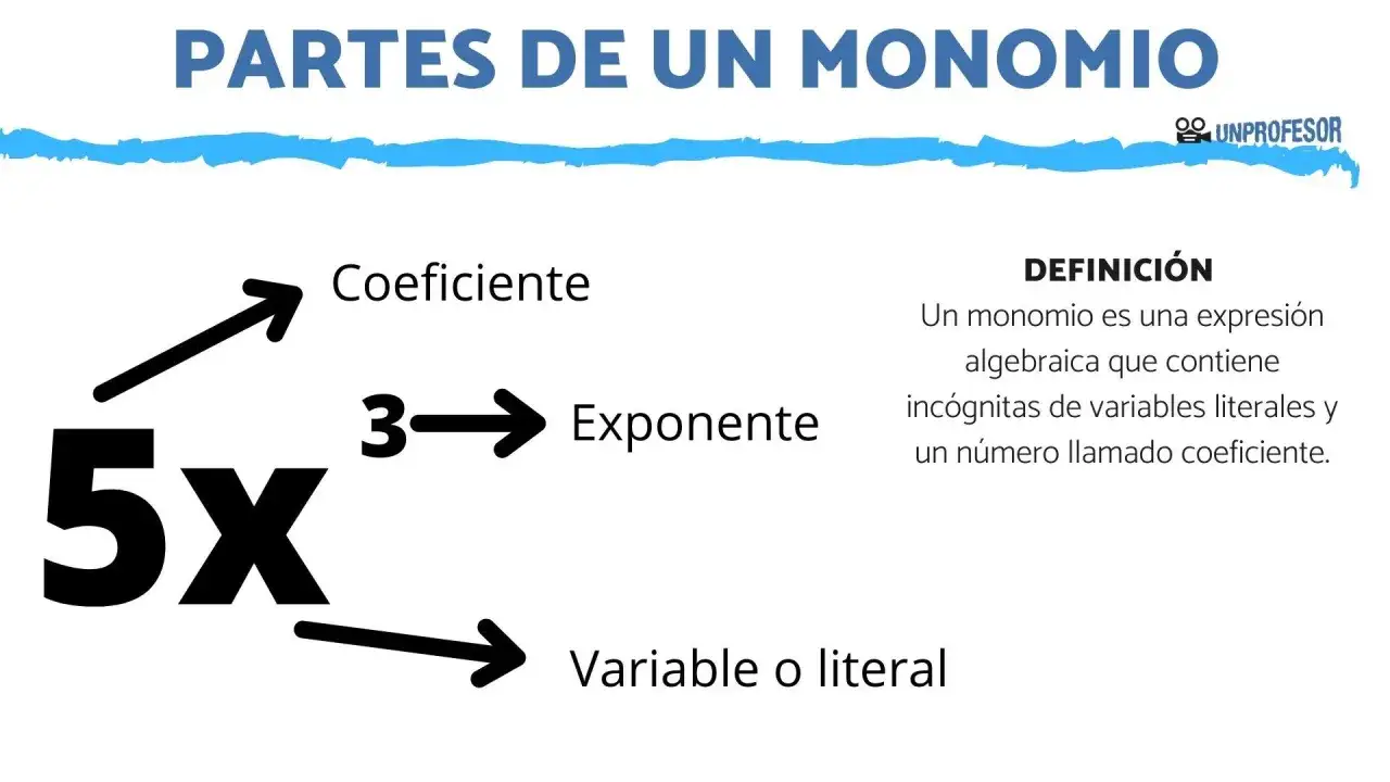 Ilustración de las partes de un monomio: 5x, donde 5 es el coeficiente, x la variable y el exponente implícito es 1.