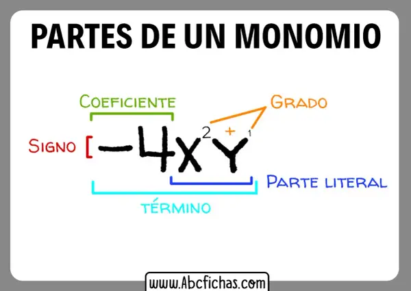 Diagrama que ilustra las partes de un monomio: signo, coeficiente, parte literal y grado.